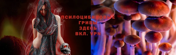 мдпв Архангельск