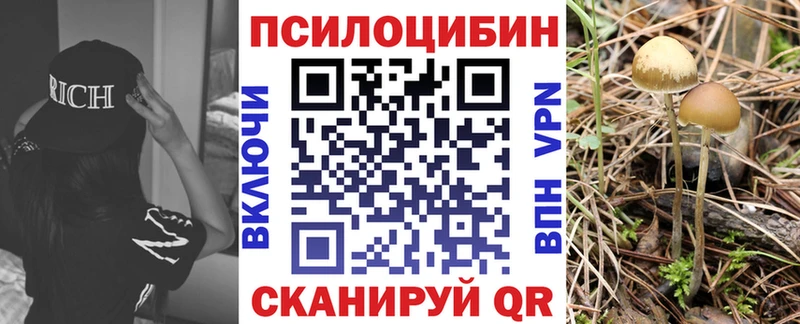 KRAKEN онион Щёкино Галлюциногенные грибы прущие грибы закладка
